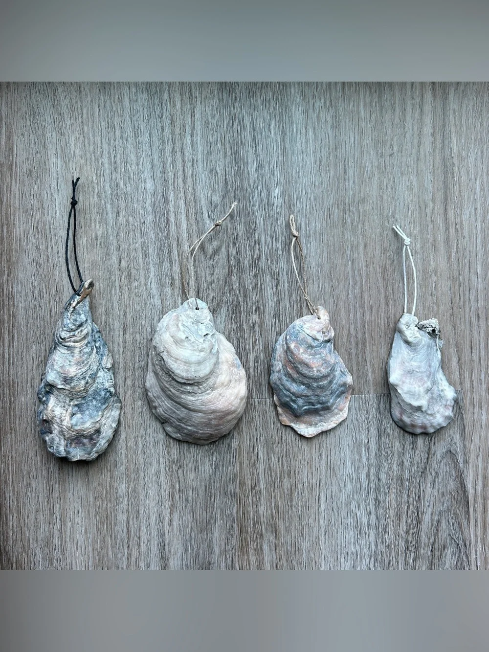 Boxed Set of 4 Handmade Gold Trimmed Oyster Shell Ornaments Coastal Gift⁠